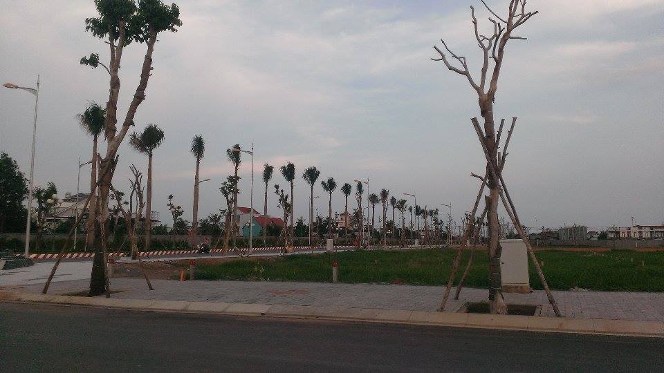 11208952_859046844162039_658550173_n