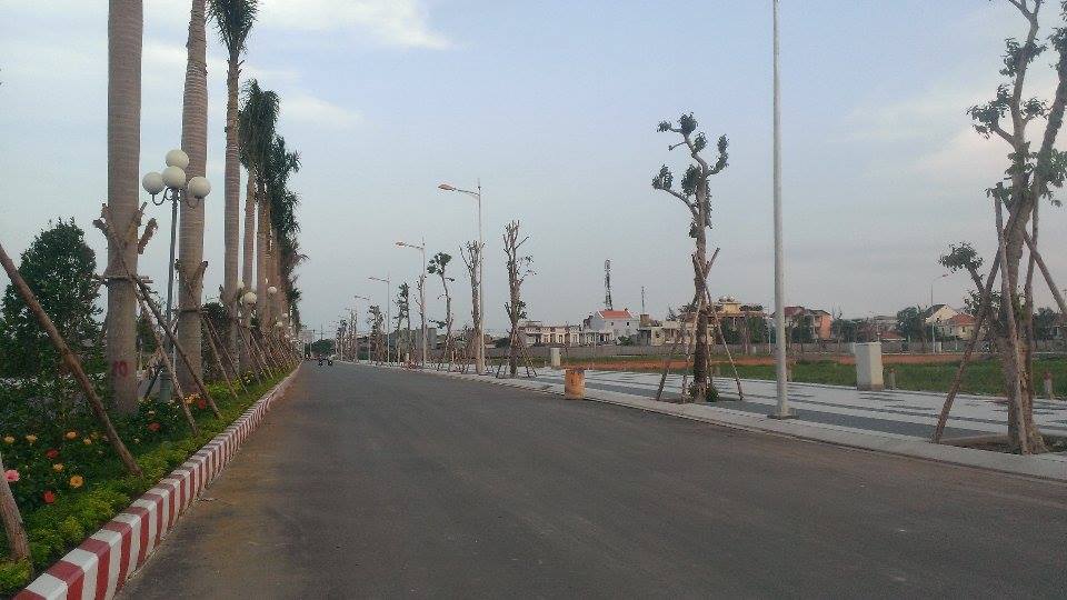 11216440_859046967495360_1087499404_n