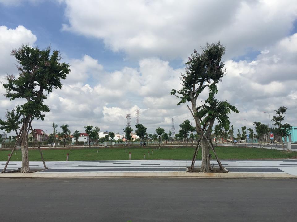 cay xanh trong van phuc riverside ngay 20-9